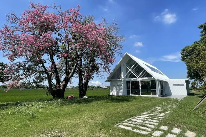 葡萄園裡的白色小屋 媽厝紫葡小書屋